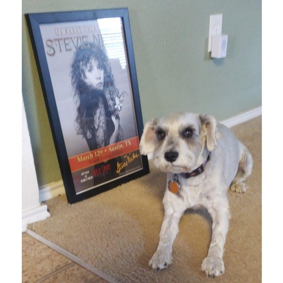 Meet your Posher, Roxana - Picture 7 of 7